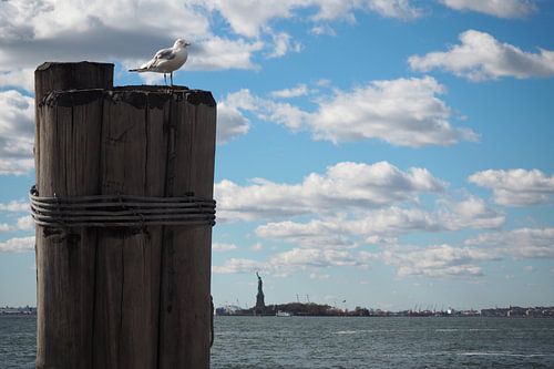 Meeuw met Vrijheidsbeeld
