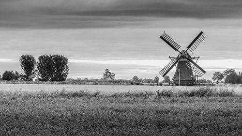 The Langelander mill in Garmerwolde in the province of Groningen in Black and White by Marga Vroom