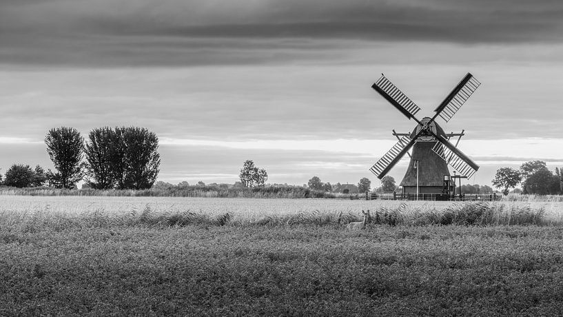 The Langelander mill in Garmerwolde in the province of Groningen in Black and White by Marga Vroom