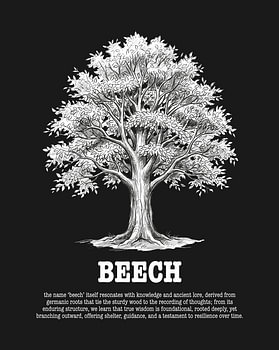 Minimalistisches Buchenbaum-Strichzeichnung-Poster – Schwarze Ausgabe