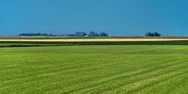 Paysage de la Frise juste derrière le Waddendijk près de Holwerd sur Harrie Muis