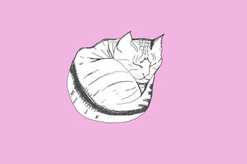 Roze Kitten (serie) van Karolina Grenczyk