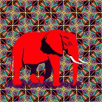 Afrikaanse olifant solo