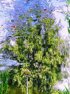 Urban Reflections 134
