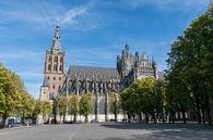 Sint Jan Kathedraal in Den Bosch van Patrick Verhoef thumbnail