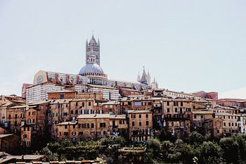 Blick auf die mittelalterliche Stadt Siena und ihre Kathedrale