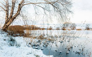 Betoverend Winters Landschap met bevroren vijver van Wildlife Designs