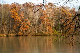 Herbst von Karin Maier