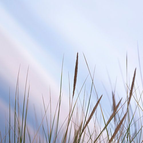 Wadden Photography - Beach #8 from series of 9 images by Wad of Wonders