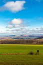 Winterwandeling door het prachtige Vorderrhön bij Mansbach van Oliver Hlavaty thumbnail