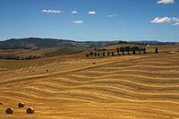 Rolling Tuscan Hills