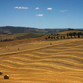 Toskanische Hügellandschaft von Dennis Wierenga