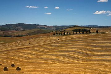 Golvende heuvels in Toscane van Dennis Wierenga