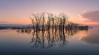 Een mooie zonsopkomst bij natuurgebied Tusschenwater Drenthe