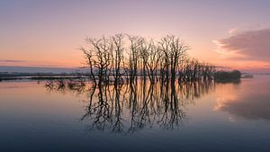 Ein schöner Sonnenaufgang im Naturschutzgebiet Tusschenwater Drenthe