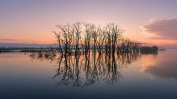 Een mooie zonsopkomst bij natuurgebied Tusschenwater Drenthe
