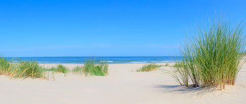 Strand panorama in de duinen aan de Noordzee tijdens de zomer