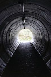 Licht aan het Einde van Mootjes