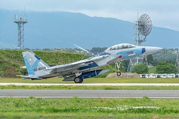Japanese McDonnell Douglas F-15DJ Eagle. by Jaap van den Berg