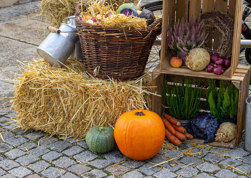 herbstliche Dekoration auf dem Herbstmarkt von Animaflora PicsStock