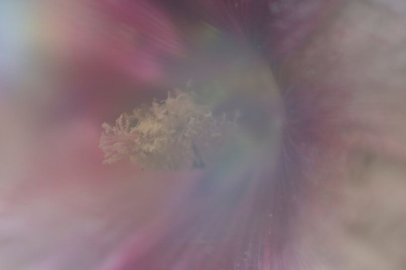 Fantasy Heart von Marjoleine Knappers