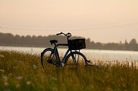 Verlaten fiets von Thijs Schouten Miniaturansicht