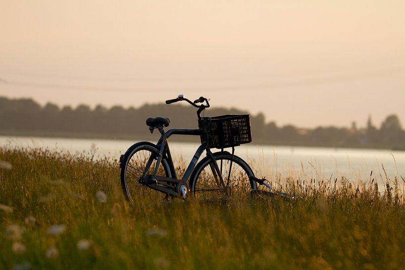 Verlaten fiets van Thijs Schouten