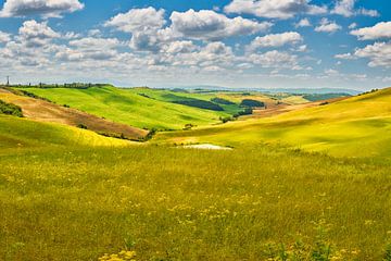 Toskana - farbenfrohe Landschaft in Italien von eric van der eijk