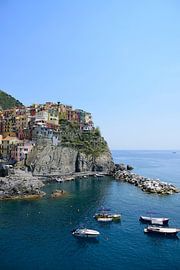 Bucht von Manarola von Frank's Awesome Travels