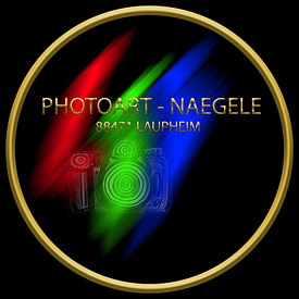 Photoart-Naegele photo de profil