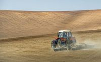 at work on the field in Moravia by Guy Lambrechts thumbnail