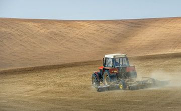 at work on the field in Moravia by Guy Lambrechts
