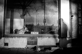 Imaginary friend by Maarten Steunenberg