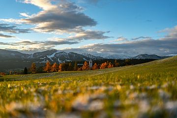Herbstlicher Blick auf die Alpspitze und das Werther Hörnle von Leo Schindzielorz