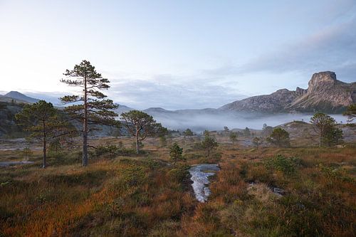 Magische ochtendmist bij Steigtindvatnet