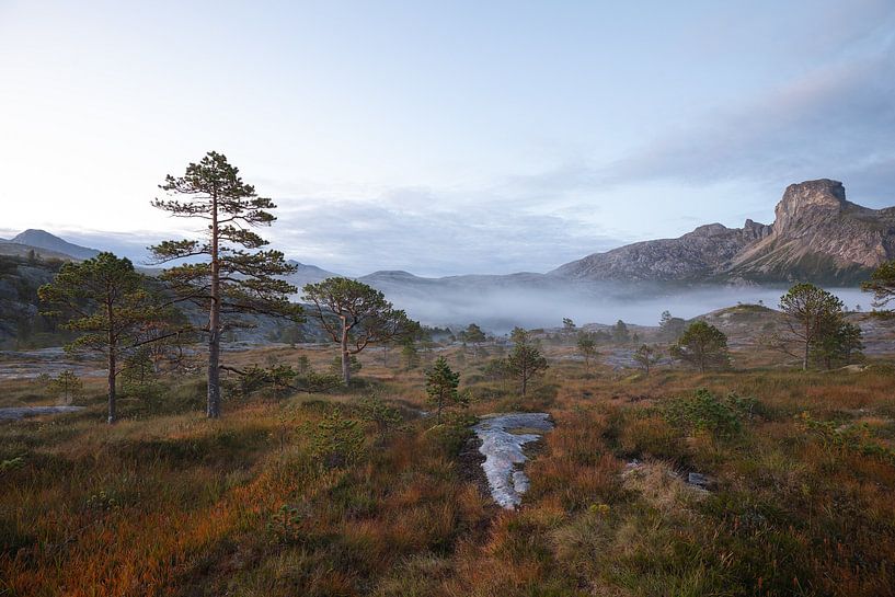 Magical morning fog at Steigtindvatnet by Jiri Viehmann