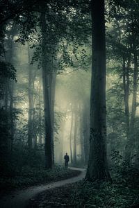 Lost among the trees by Niels Barto