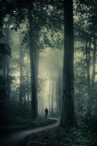 Perdu parmi les arbres par Niels Barto