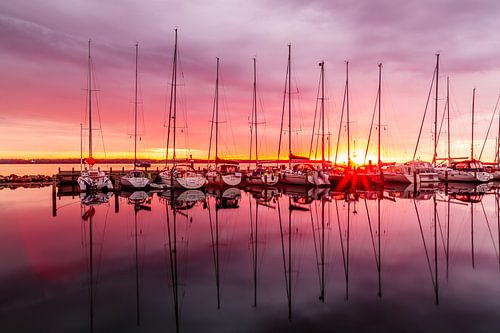 Zeiljachten in het ochtendlicht