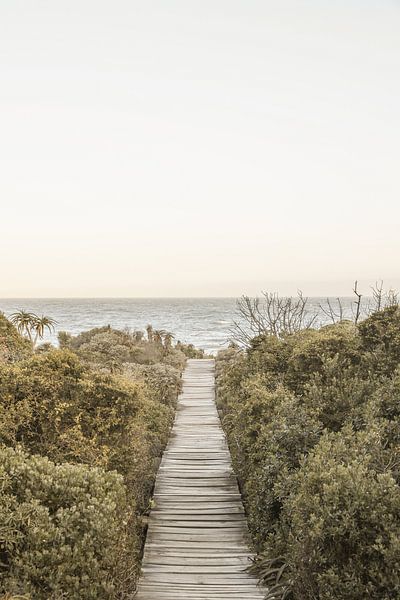 Pathway to Tranquility by Shot by Clint