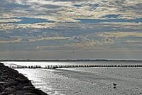 Waddenzee bij Lauwersoog
