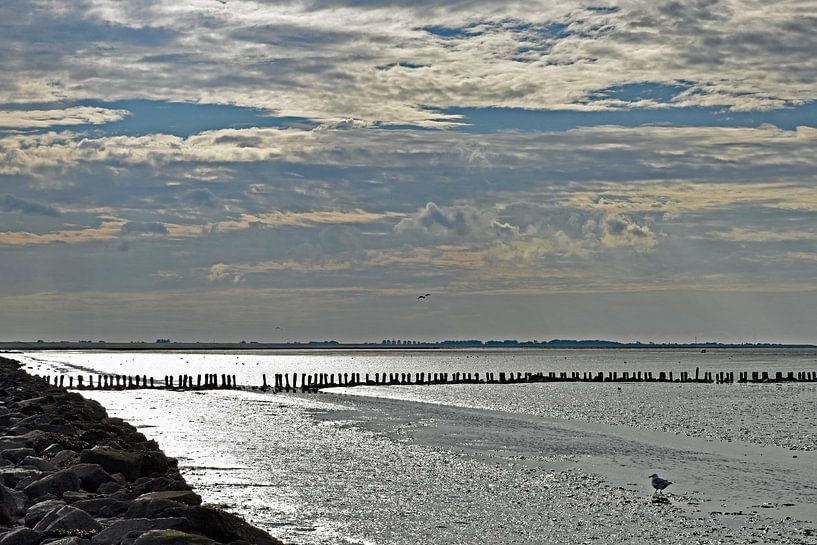 Waddenzee bij Lauwersoog van Tjamme Vis