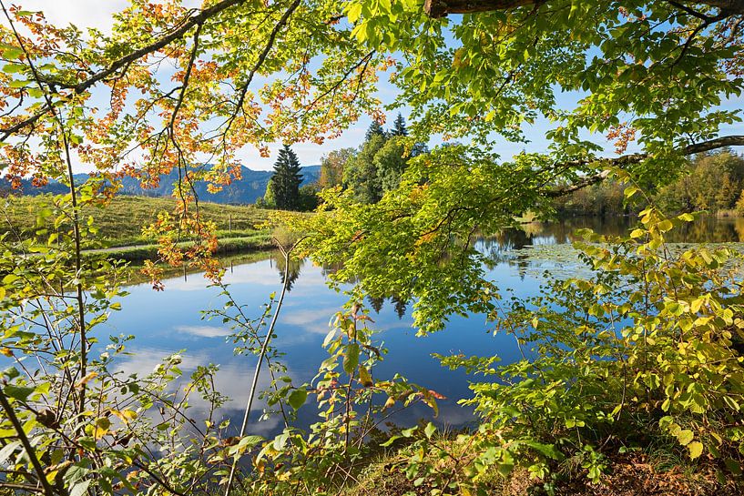 stunning landscape lake Moorweiher near Oberstdorf, view through by SusaZoom