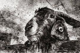 Stedelijke structuurstudie in SW