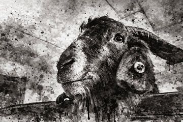 Stedelijke structuurstudie in SW