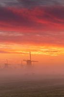Kinderdijk molens voor zonsopkomst met hoge bewolking
