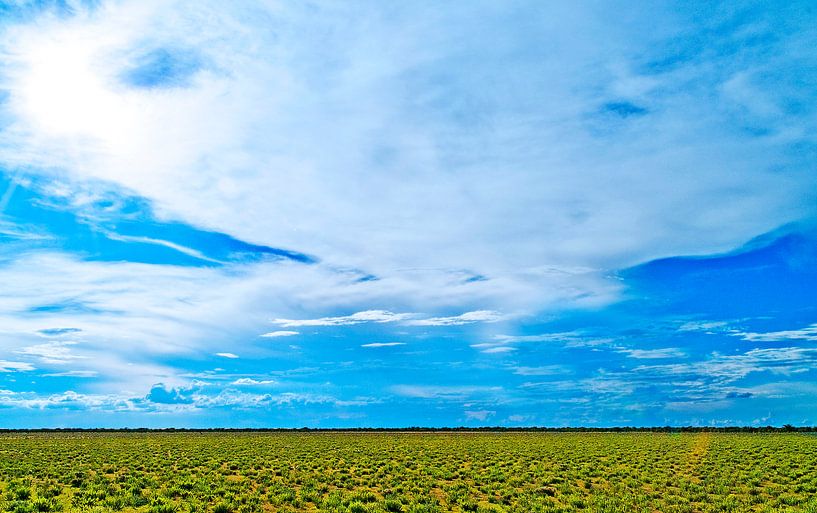 Landschap: blauwe lucht in Botswana, Afrika von Jeroen Bos