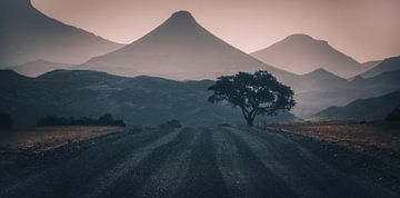 Silhouettes of Damaraland by Loris Photography