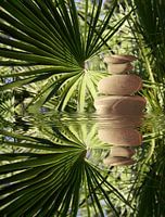 Tropical Zen