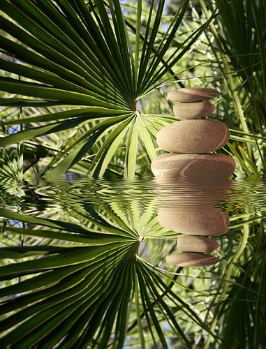 Zen tropical
